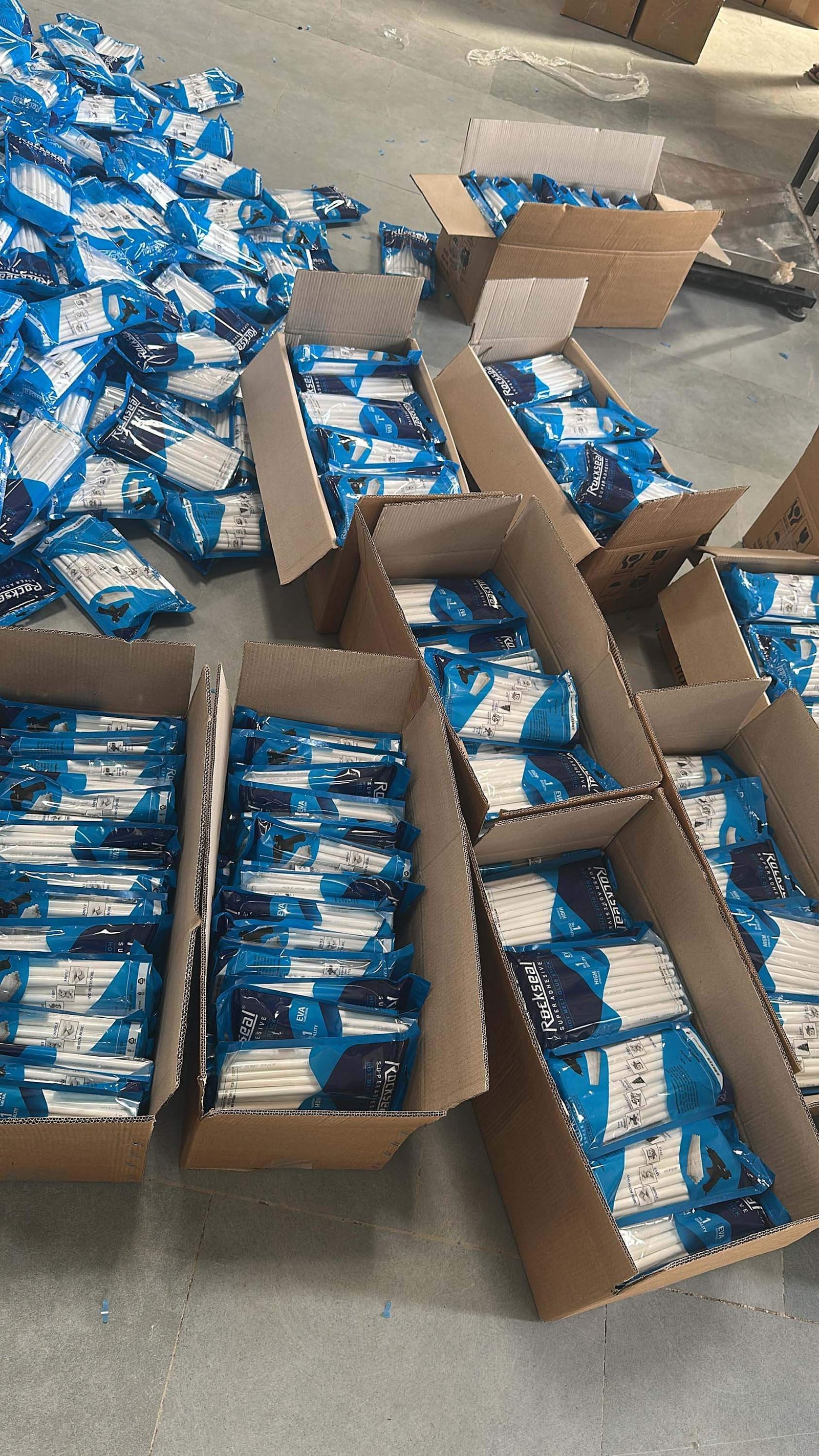 Factory Floor Box Packing Line